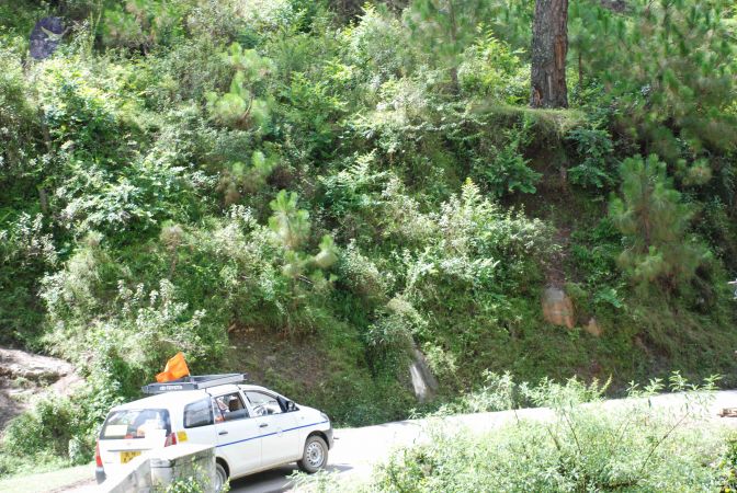 20080701 Photo 1849 1Nae6YDWb5zmbi3nUyY3RjijYCyDV9 zR.JPG