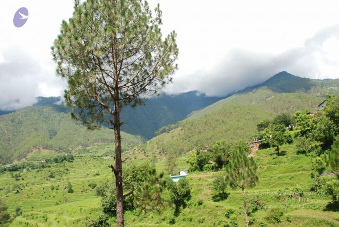 20080701 Photo 1855 11MBLtSitwnjs0NVYod2PXL28LGnPC0 0.JPG