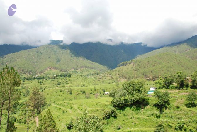 20080701 Photo 1857 17zillnhASRc8BnNXbKnrVYu3YMU1w2jj.JPG