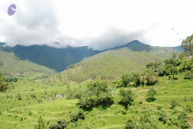 20080701 Photo 1858 143Jqj5IYJLghtfzMfYNjOP0GOejqga62.JPG