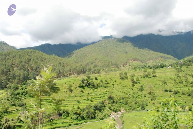 20080701 Photo 1868 1SGFd1eMoVB Xo kmrjvJ4tXgrQTeSVN-.JPG