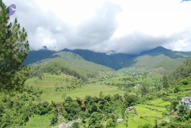 20080701 Photo 1880 1se2LwUisetnGPeo2zNGDNdbSfpNyQ Yi.JPG