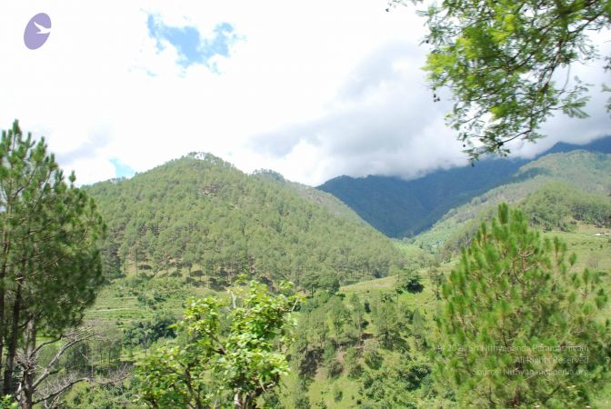 20080701 Photo 1883 1T73FQT3I8N2POFXOpiVysrwbJDSIIiOJ.JPG