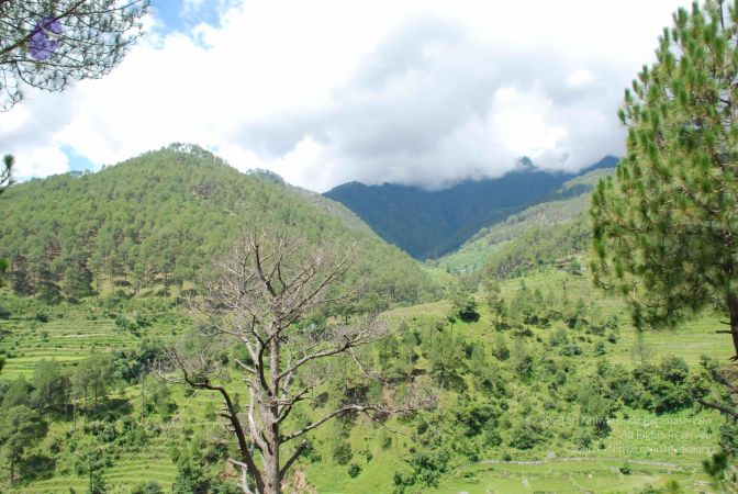 20080701 Photo 1884 1Pa-0FDi7CWrekk1b1KKWNGwAFi vzgUO.JPG