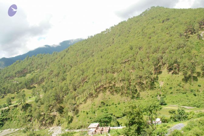 20080701 Photo 1887 1qzrDAtP9bFvJzYotWbOmJagBBlsqYfXn.JPG