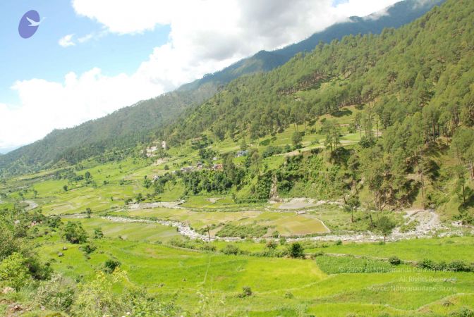 20080701 Photo 1889 1uU4J-6FJdMw8vyHFD5WmyCV-7Rkmvuux.JPG