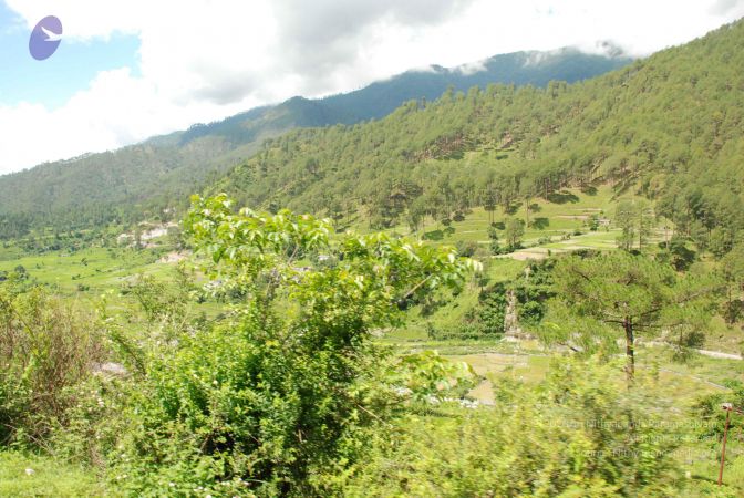 20080701 Photo 1899 1WXFnxipHYHNXjE2tm7AC0wFlp4GC8Nva.JPG