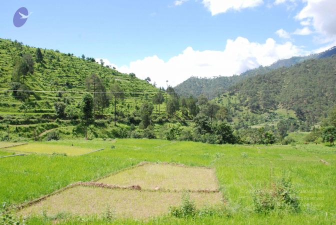 20080701 Photo 1905 1kupbYiJgZhX5XO9tSlvRSyOXkherAXeH.JPG