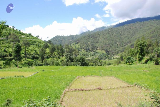 20080701 Photo 1906 1TsBdNoytSQWZE1Sns3xWoLmbtbBK9ycD.JPG