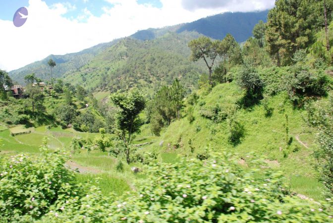 20080701 Photo 1913 14iE8hZhtozhObZSKq5T1D61Od2E1nnsL.JPG