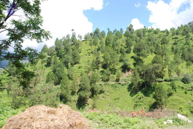 20080701 Photo 1921 19wK9Ox7evxJwIqfqb6SKWHxlDgfgYQuA.JPG