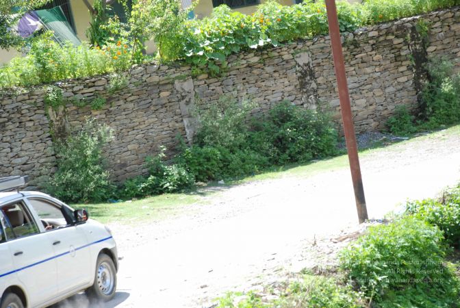 20080701 Photo 1929 19pSTDuDn8MrK6eNJuXsMfoTyVarMvwEU.JPG