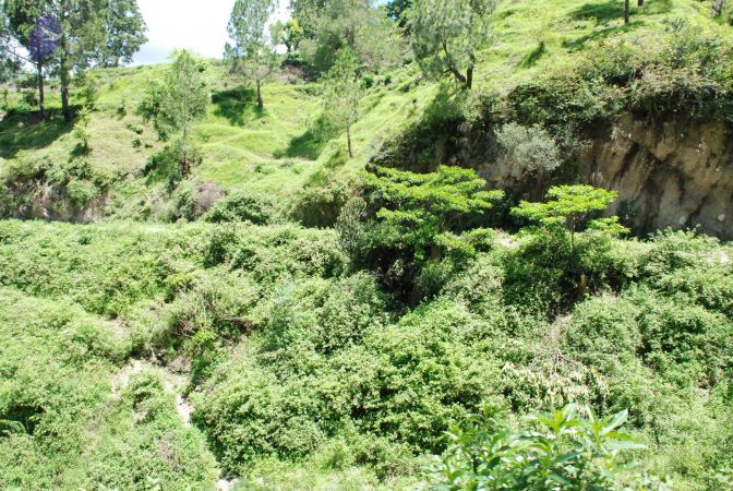 20080701 Photo 1943 1 S1gB6pKnJ-nhK1hkwh4wqA8TSphnGNy.JPG