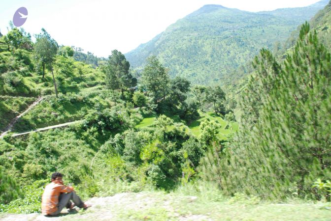 20080701 Photo 1947 12NeBmoZ97zSion4z6ztwpuvXHBqOC5z2.JPG