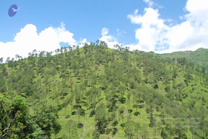 20080701 Photo 1951 1zA9zn91GkslGFzjgu7K 2g2YnuoUatNX.JPG