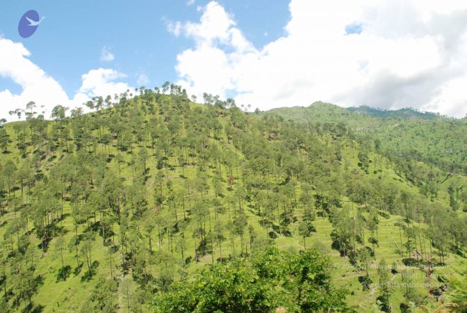 20080701 Photo 1960 1l3d1EclNKCqO9WJiWRenfr9MpmyEoHwd.JPG