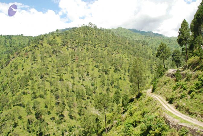 20080701 Photo 1961 1P-zntzXkCE1Fg32 6qhYgfJybB34eAtj.JPG