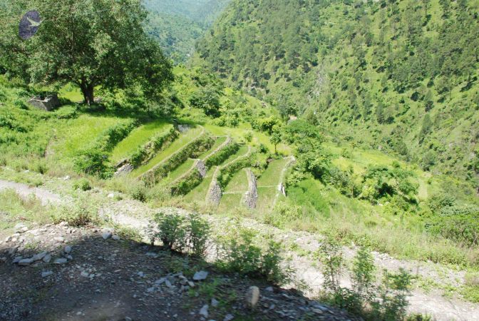 20080701 Photo 1967 1ULQx uQmb8YQiQx7hLXxL9TT0ZYiDKEZ.JPG