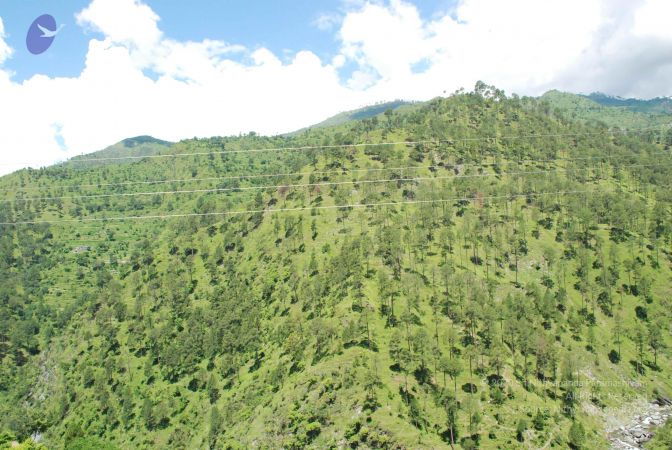 20080701 Photo 1968 1LM0qn6TaXySCr8qaMlybKVqbF-LqAMgW.JPG