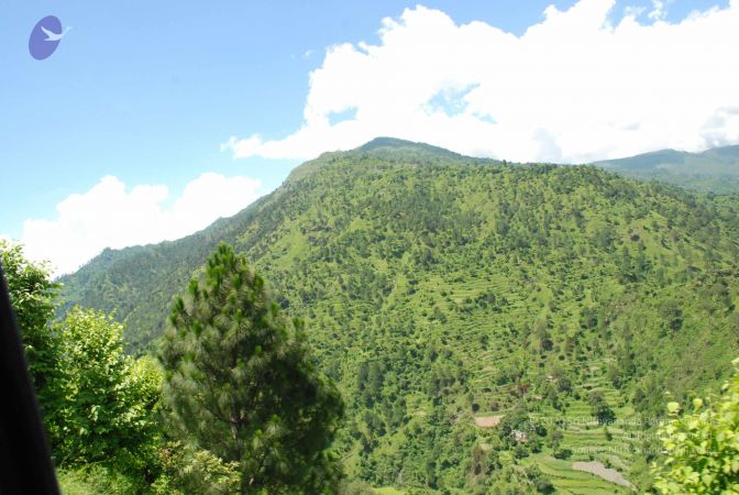 20080701 Photo 1976 1J7i4cbI8ItVW9-xZUzgpJ40nqhLuvFvm.JPG