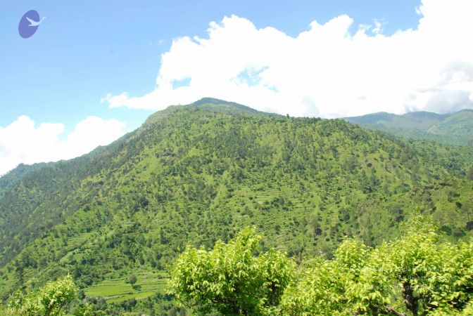 20080701 Photo 1977 1gXvO-zJnXaFE6LgBQsA6rbtbusS6Ei5Y.JPG