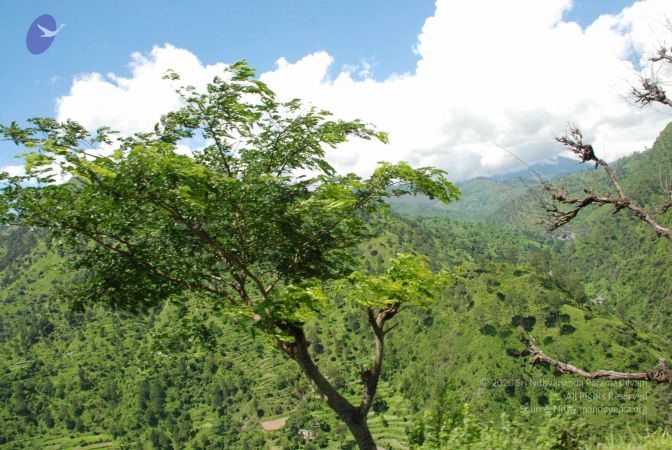 20080701 Photo 1979 1a3VNcBQTBoiy1tuk2nepKq4kbssEO7Mf.JPG