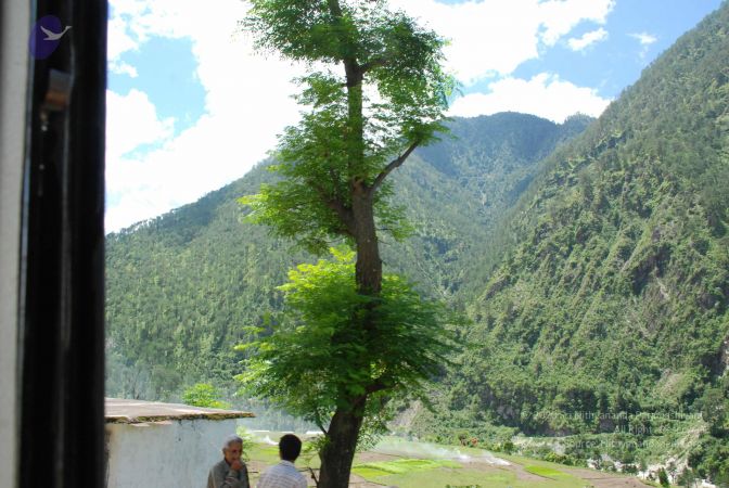 20080701 Photo 2035 1OL-mjpQVw-LWf OxYeGnX9yaFGS9-Iot.JPG