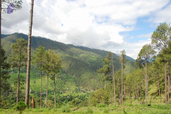 20080702 DSC 0021 CMP WM.jpg