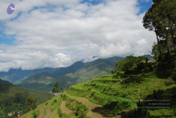 20080702 DSC 0039 CMP WM.jpg