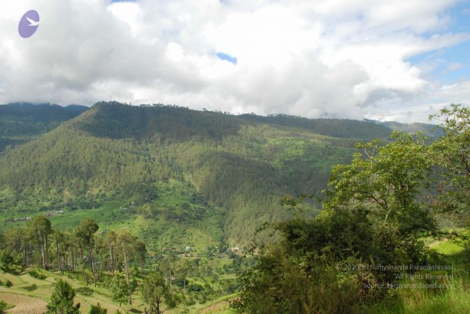 20080702 DSC 0046 CMP WM.jpg