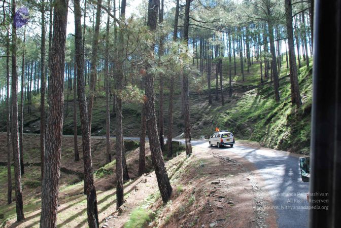 20080702 DSC 0058 CMP WM.jpg