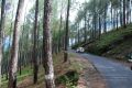 Thumbnail for version as of 05:44, 5 May 2021