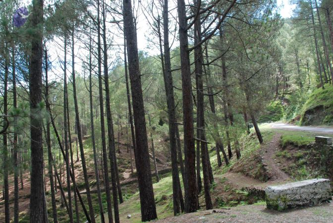 20080702 DSC 0069 CMP WM.jpg