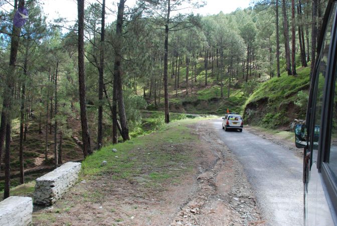 20080702 DSC 0071 CMP WM.jpg