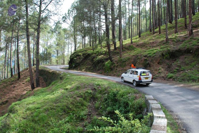 20080702 DSC 0072 CMP WM.jpg