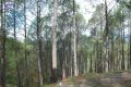 Thumbnail for version as of 04:15, 4 May 2021