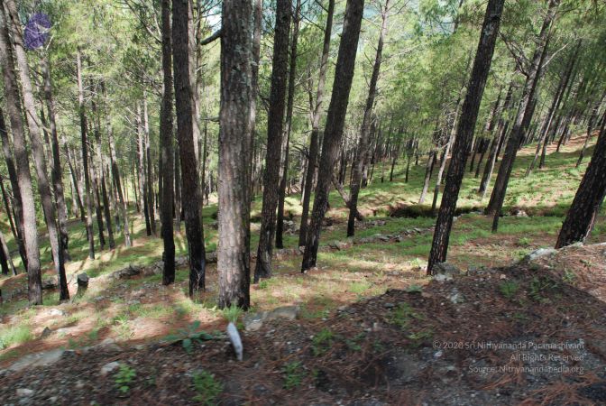 20080702 DSC 0091 CMP WM.jpg