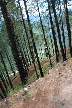 20080702 DSC 0101 CMP WM.jpg