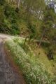 Thumbnail for version as of 05:49, 5 May 2021
