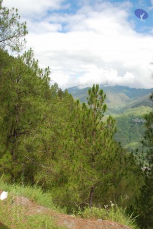 20080702 DSC 0119 CMP WM.jpg