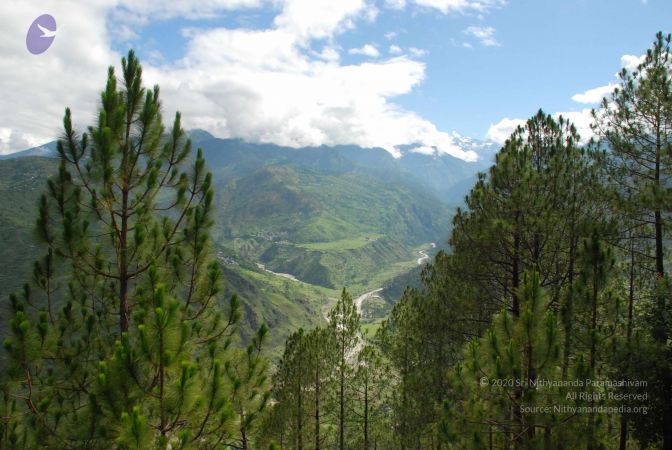 20080702 DSC 0121 CMP WM.jpg