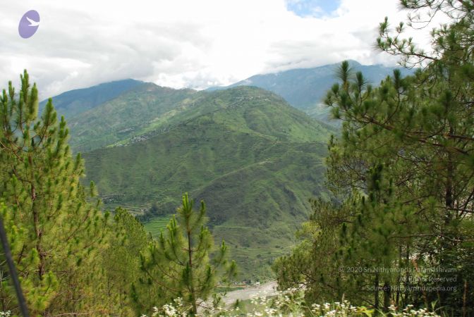 20080702 DSC 0122 CMP WM.jpg