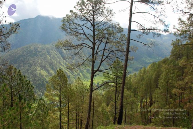 20080702 DSC 0154 CMP WM.jpg