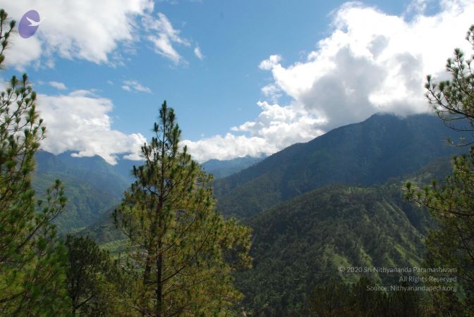 20080702 DSC 0162 CMP WM.jpg