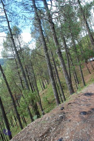 20080702 DSC 0179 CMP WM.jpg