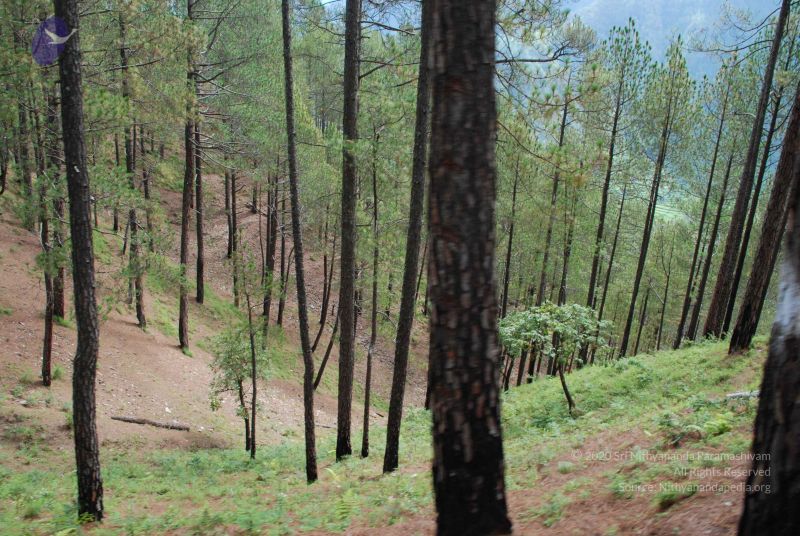 File:20080702 DSC 0186 CMP WM.jpg