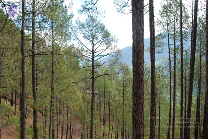 20080702 DSC 0187 CMP WM.jpg