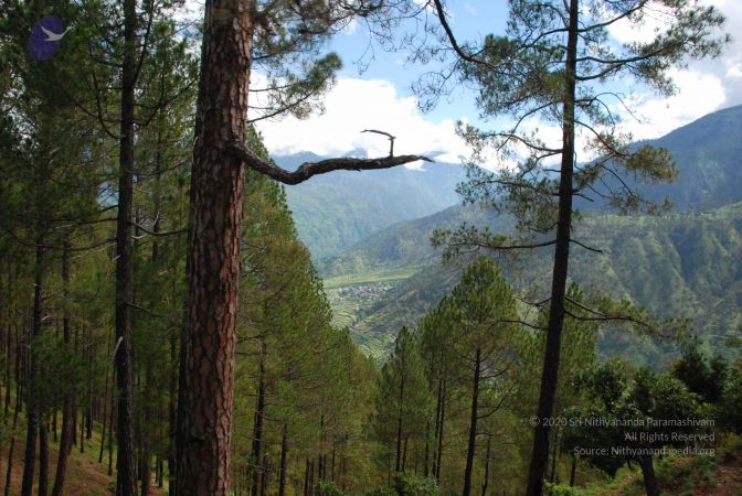 20080702 DSC 0195 CMP WM.jpg