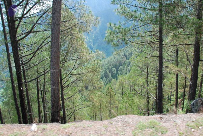 20080702 DSC 0199 CMP WM.jpg