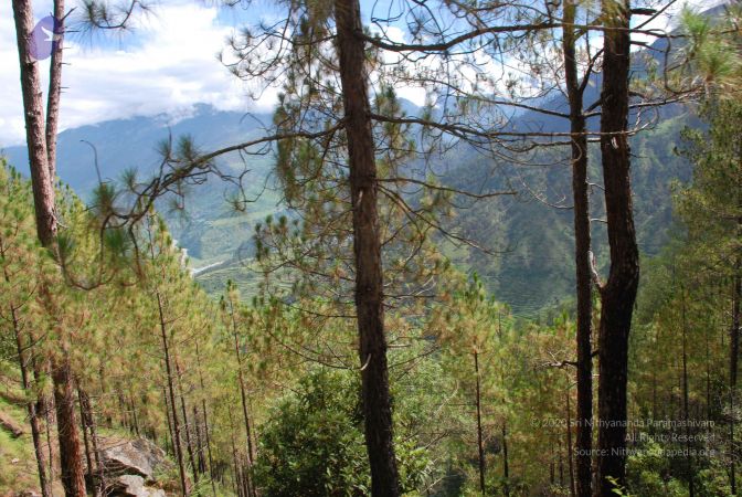 20080702 DSC 0205 CMP WM.jpg